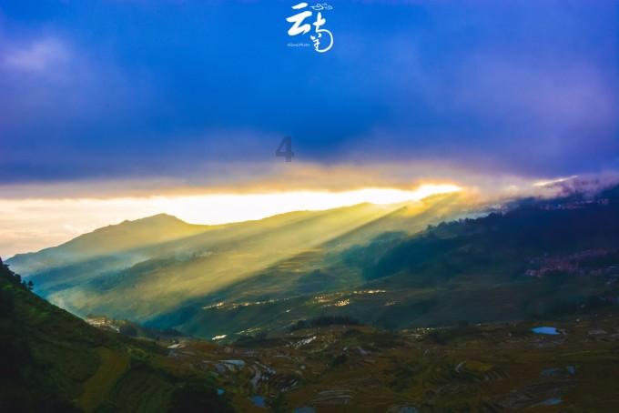 蚊虫的幼虫叫什么名字？游戏画面